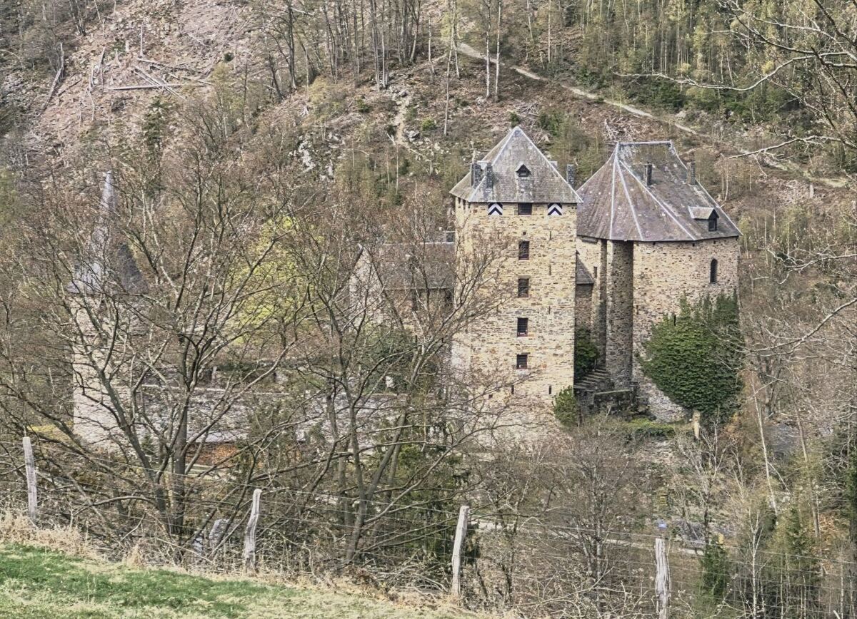 Een stenen kasteel met twee torens en puntige daken, omringd door kale bomen en een heuvelachtig boslandschap. Op de achtergrond is een waterval zichtbaar.