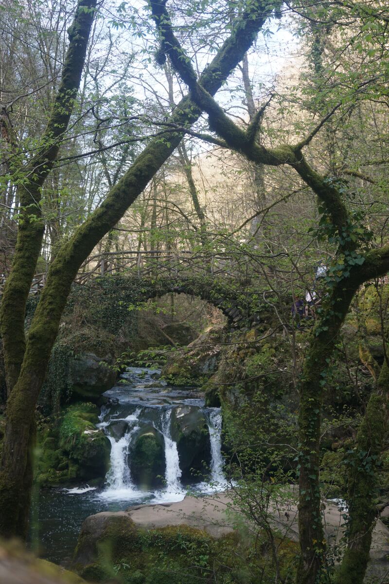 Een verticale foto van de Schiessentümpel-watervallen in Luxemburg, met een stenen brug bedekt met mos en klimop die over de watervallen heen loopt. De voorgrond wordt gedomineerd door bomen met mosbegroeide stammen en takken, en er is veel groen blad te zien. Het water stroomt over drie rotsformaties naar beneden.