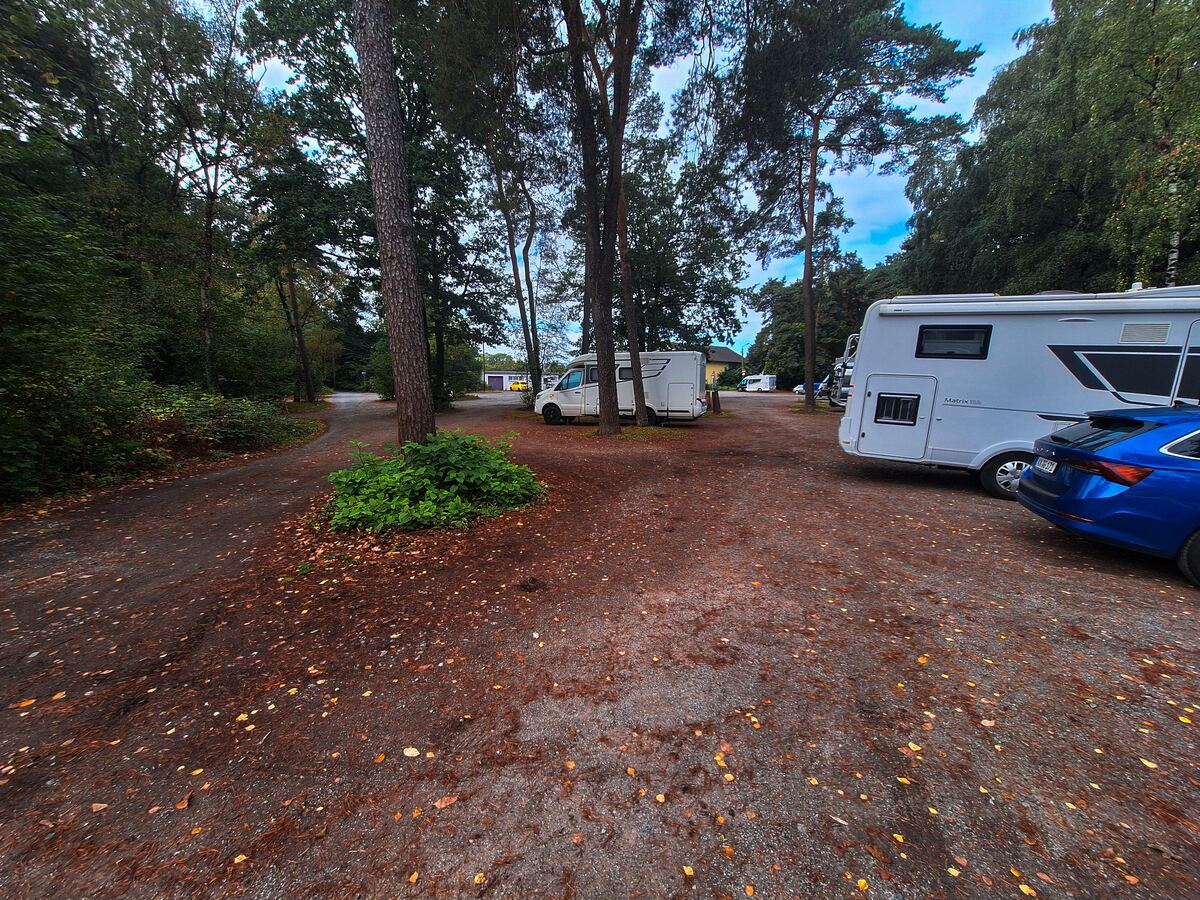 Een campingplaats met meerdere campers en een blauwe auto, omringd door bomen en met bladeren op de grond. De lucht is deels bewolkt.