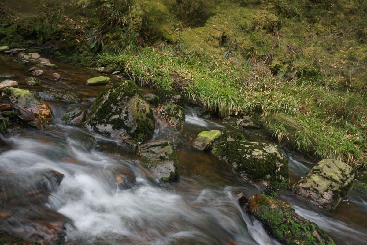 Een beekje stroomt over en langs met mos begroeide stenen en boomstammen. De oevers zijn bedekt met groen gras en dichte begroeiing. Het water is troebel en de stroming is door een lange sluitertijd als een zachte waas vastgelegd.