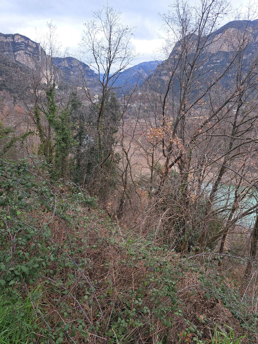 Een landschap met op de voorgrond dichte begroeiing van struiken en kale bomen. Daarachter zijn steile, rotsachtige bergen zichtbaar onder een bewolkte lucht. Rechtsonder door de bomen is een deel van een turquoise waterlichaam te zien.