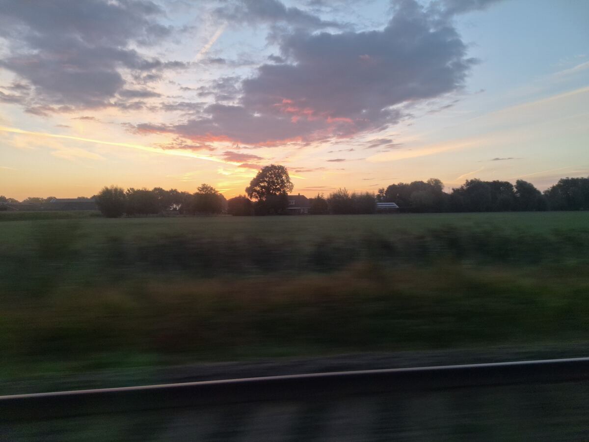 Een landschap met groene velden op de voorgrond en een rij bomen aan de horizon, waarachter een huis en andere gebouwen zichtbaar zijn. De lucht toont een zonsopgang met oranje en roze tinten, vermengd met grijze wolken. De foto is genomen vanuit een rijdende auto, wat te zien is aan de onscherpte van de voorgrond en de onderkant van een raamstijl.