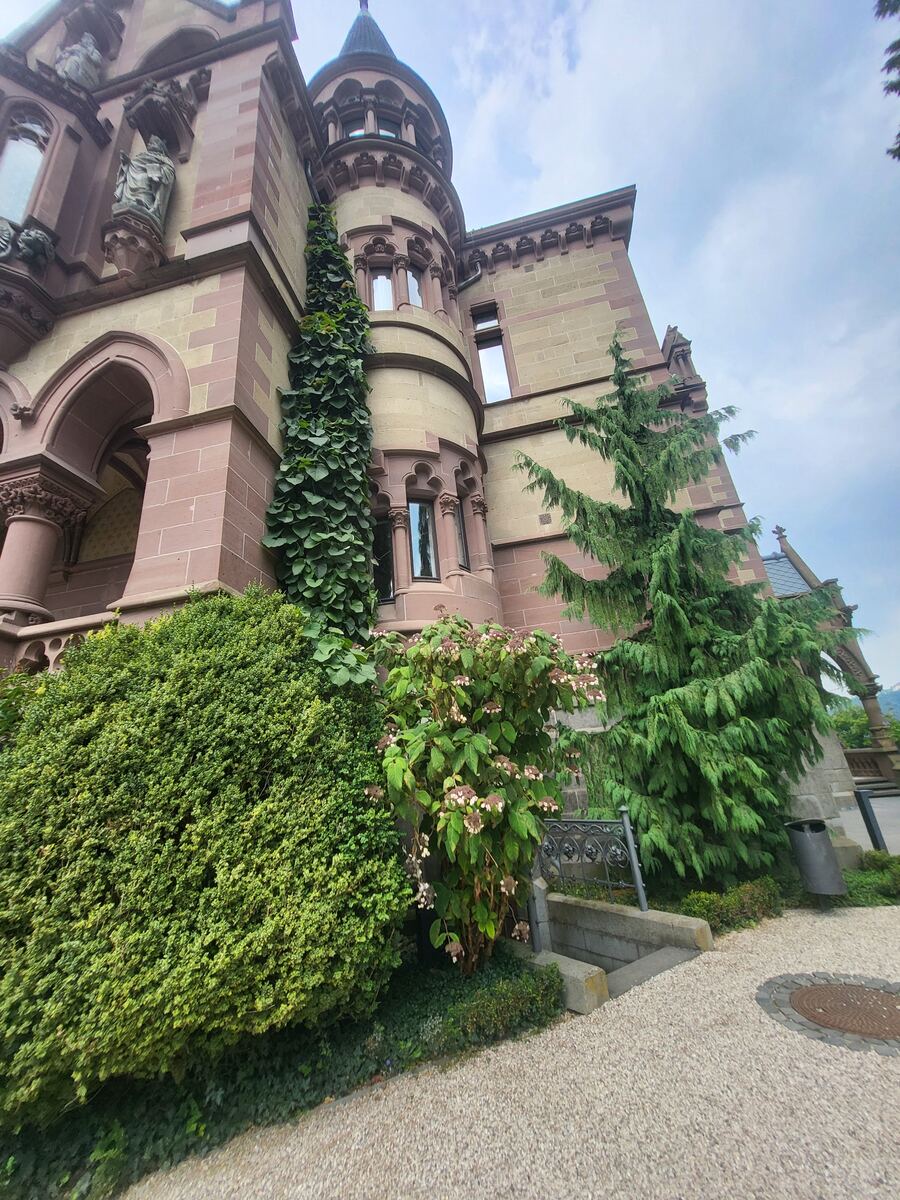 Een foto van een deel van een groot, kasteelachtig gebouw met een ronde toren en veel groen. Het gebouw heeft muren van roodbruine en lichtgele stenen, versierd met bogen, pilaren en beelden. Klimop groeit langs een van de muren en er staan diverse struiken en bomen voor het gebouw. De lucht is bewolkt.
