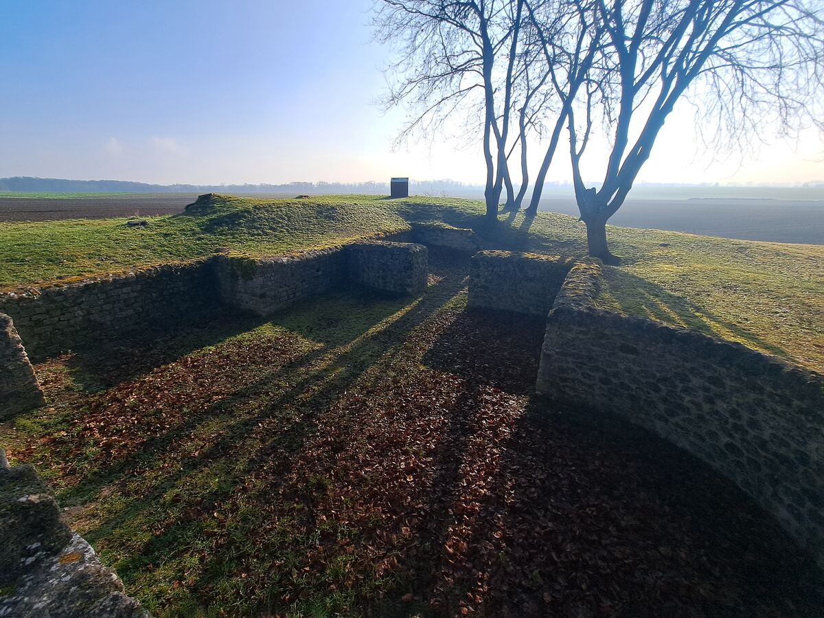 Een weids uitzicht op Romeinse ruïnes in een open veld, met de zon laag aan de horizon. De stenen muren van de ruïnes zijn deels begroeid met mos en liggen in de schaduw van kale bomen. Op de grond liggen veel bruine bladeren. Op de achtergrond is een bosrand zichtbaar onder een helderblauwe lucht.