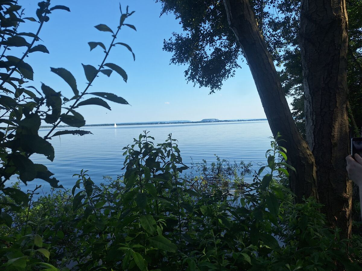 Een foto genomen vanaf de oever van een groot meer, met op de voorgrond donkere bladeren en boomstammen. Op het water is een kleine witte zeilboot te zien en aan de horizon een heuvelachtig landschap onder een helderblauwe lucht.