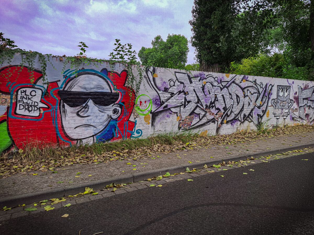 Een lange muur is bedekt met diverse graffiti-kunstwerken, waaronder een figuur met zonnebril en een sponspop. De muur is deels begroeid met klimop en er liggen herfstbladeren op de stoeprand. Boven de muur zijn bomen en een bewolkte lucht zichtbaar.