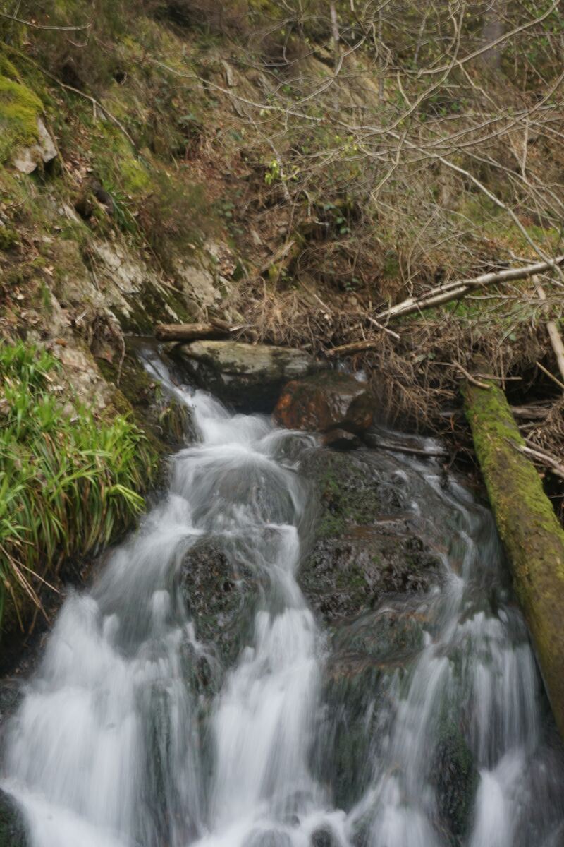 Een close-up van een kleine waterval die over rotsen stroomt, omgeven door groen mos, dorre takken en wat lang gras. Een met mos begroeide boomstam ligt rechts in het beeld.