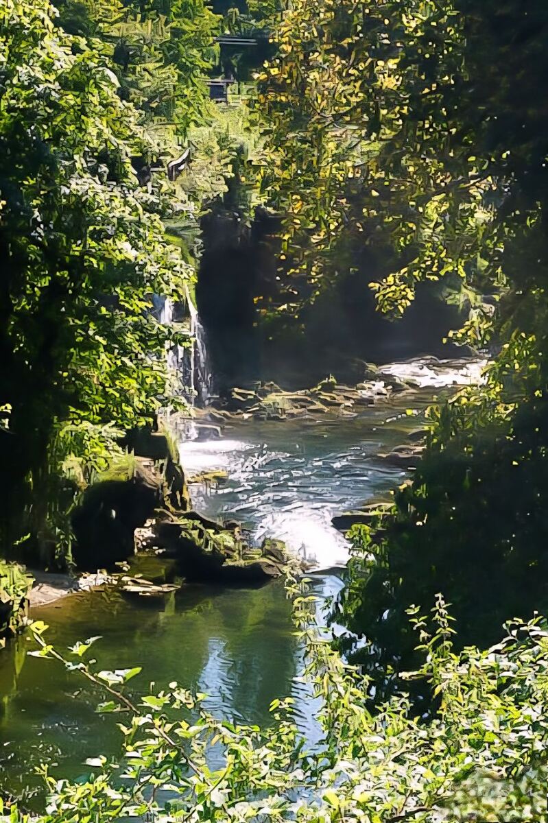 Een weelderig groene omgeving met een waterval die uitmondt in een rivier. De rivier stroomt over rotsen en creëert kleine stroomversnellingen. De zon schijnt door de bladeren van de bomen, wat zorgt voor een spel van licht en schaduw op het water en de omgeving.