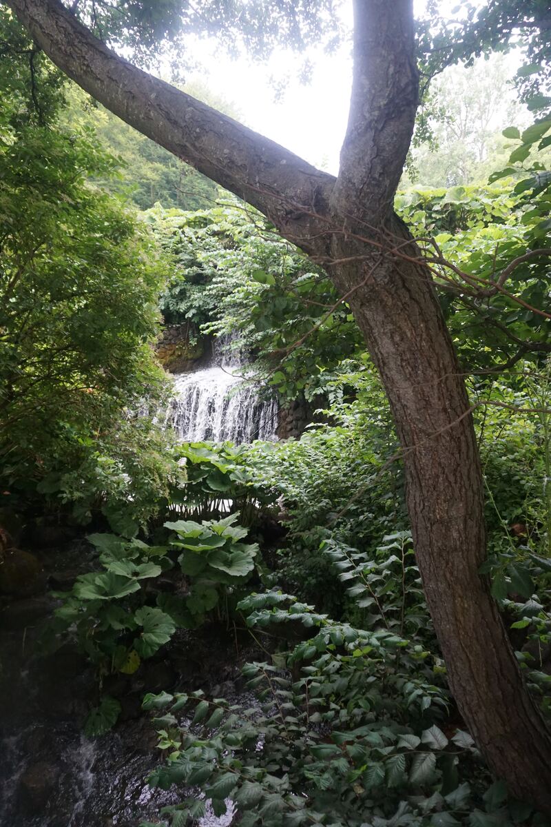 Een verticale foto toont een waterval die over rotsen stroomt, omgeven door dicht groen gebladerte. Een grote boomstam bevindt zich rechts op de voorgrond en strekt zich diagonaal uit naar linksboven. Onder de waterval is een beekje zichtbaar. Het licht is helder en diffuus, wat door de bladeren heen schijnt.
