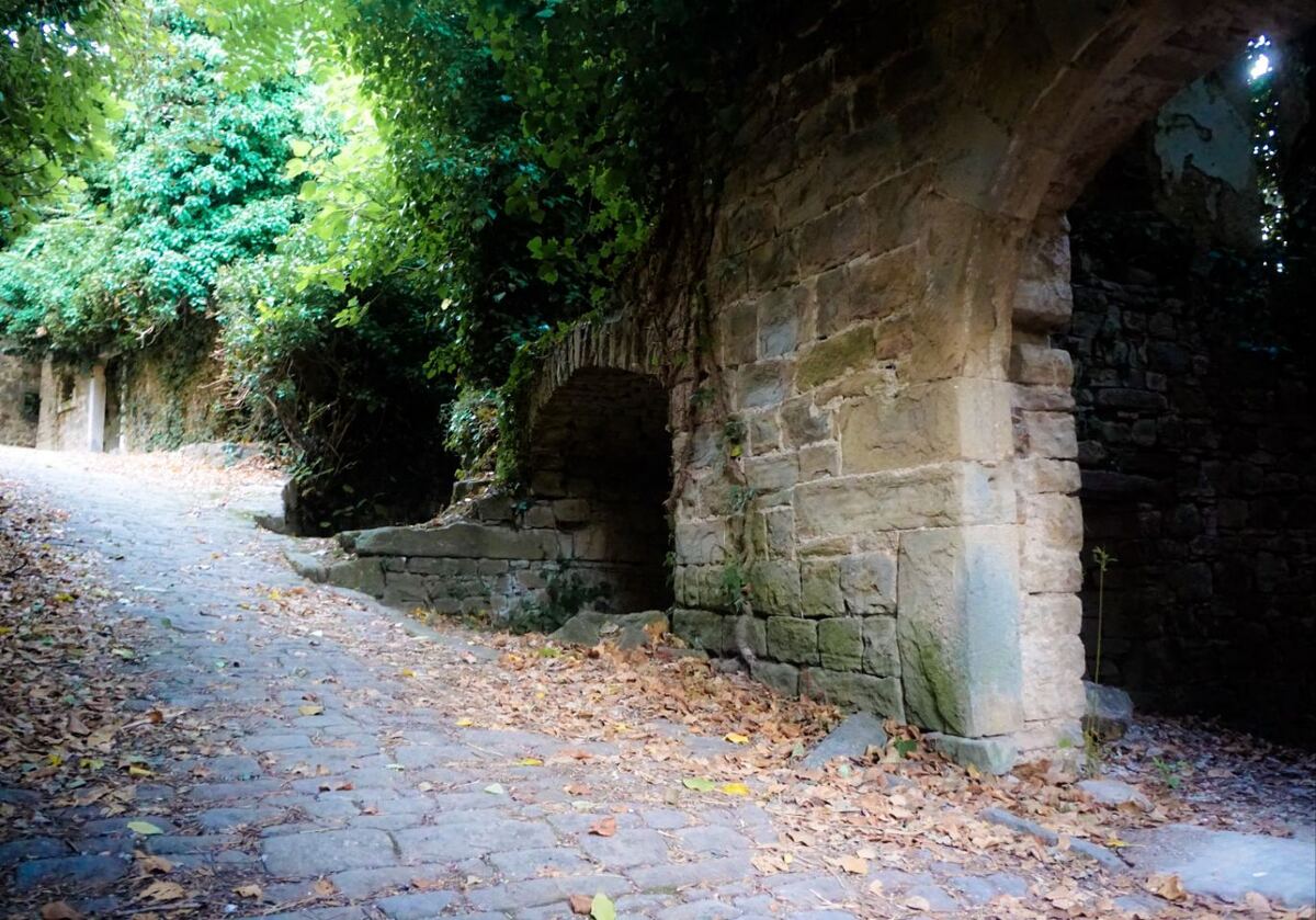 Een geplaveide weg bezaaid met herfstbladeren leidt langs oude stenen muren en bogen, overwoekerd met groen. De zon schijnt door het bladerdak en cre

eert een spel van licht en schaduw. Rechts is een grote stenen boog zichtbaar, en verderop langs de weg zijn meer structuren te zien die deels verborgen zijn door vegetatie.