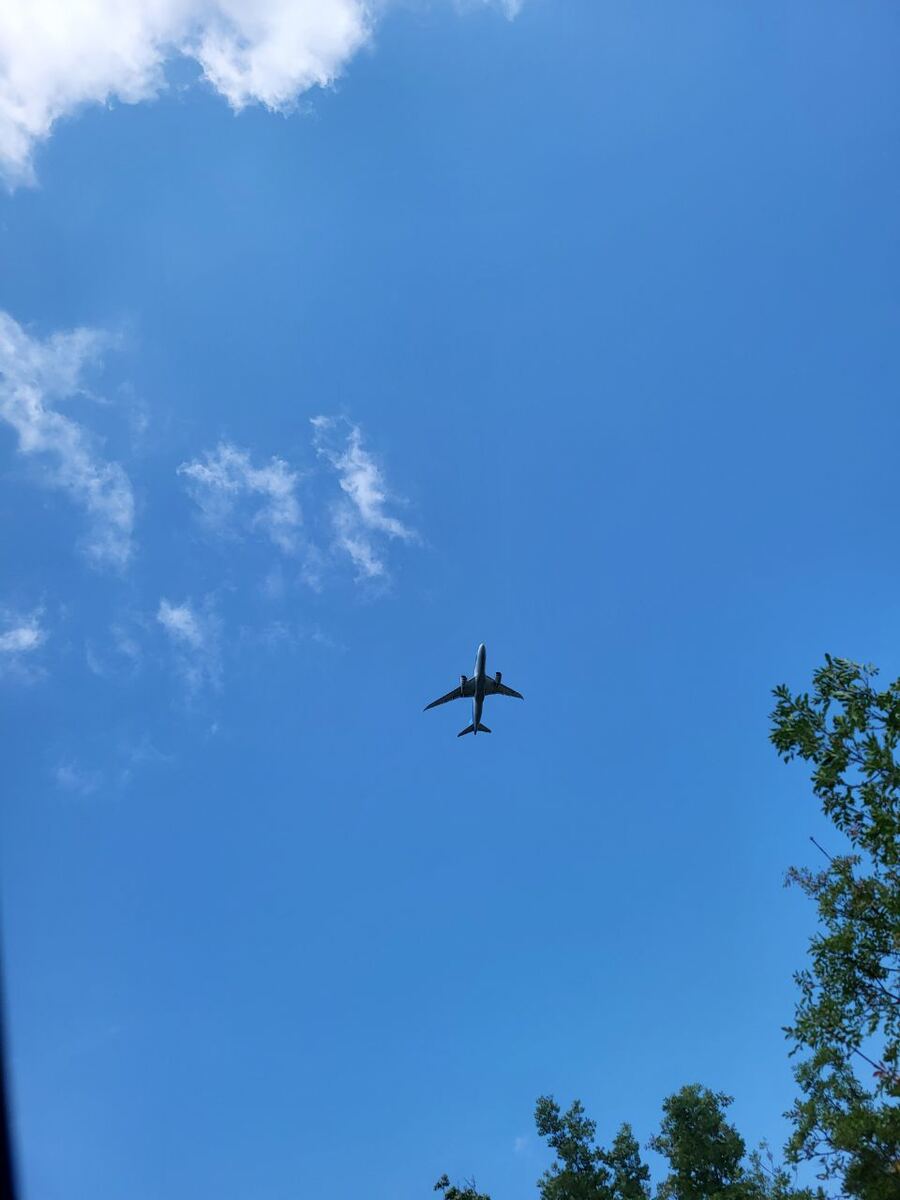 Een vliegtuig vliegt hoog in een helderblauwe lucht met enkele witte wolken. Aan de onderkant van de foto zijn de toppen van groene bomen zichtbaar.