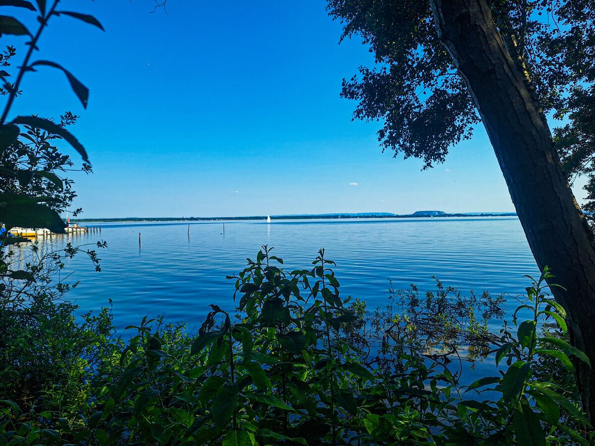 Een breed uitzicht over een groot, kalm meer met een helderblauwe lucht erboven. Aan de linkerkant is een deel van een steiger met enkele gele boten zichtbaar. In het midden van het meer vaart een kleine witte zeilboot. De voorgrond wordt gedomineerd door donkergroene bladeren en takken, en aan de rechterkant is een deel van een boomstam en bladerdak te zien.