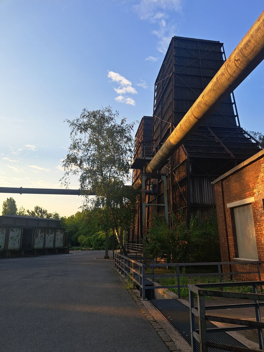 Een foto van een industrieel landschap bij zonsondergang, met grote donkere metalen constructies, hoge torens en dikke pijpleidingen. De lage avondzon werpt een warme gloed op de structuren en een bakstenen gebouw. Er is een geasfalteerd pad, hekwerken en diverse bomen en struiken die tussen de industriële elementen groeien. De lucht is blauw met enkele witte wolken.