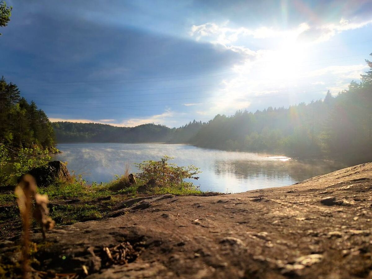 Een weids uitzicht over een mistige Wörthersee bij zonsopkomst, met de zon die door de wolken schijnt en reflecteert op het water. De oevers zijn begroeid met bomen en struiken, en op de voorgrond is een rotsachtige ondergrond te zien.