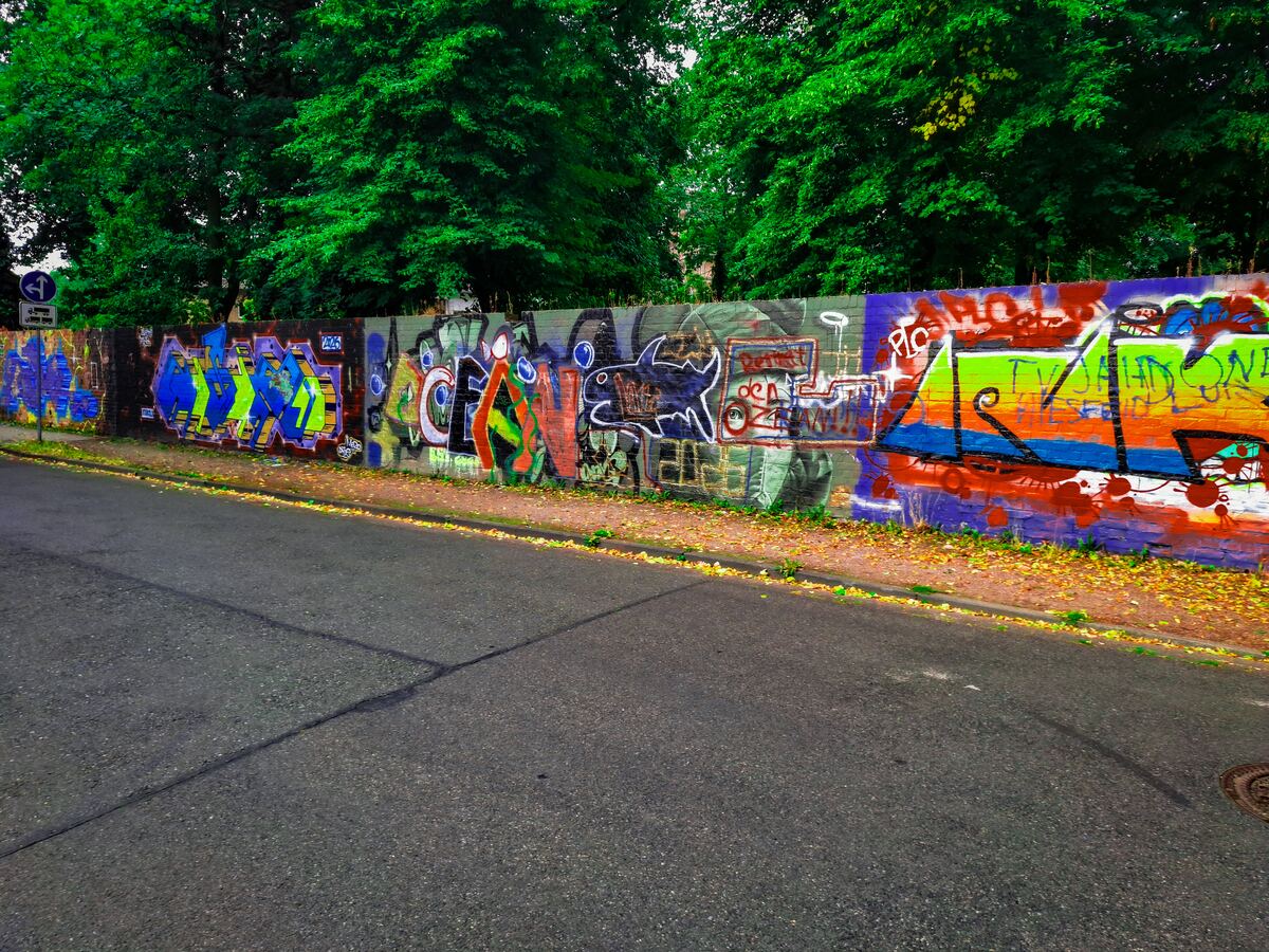 Een lange muur vol met kleurrijke graffiti langs een geasfalteerde weg, met groene bomen op de achtergrond. Er liggen wat verdorde bladeren op de stoeprand.
