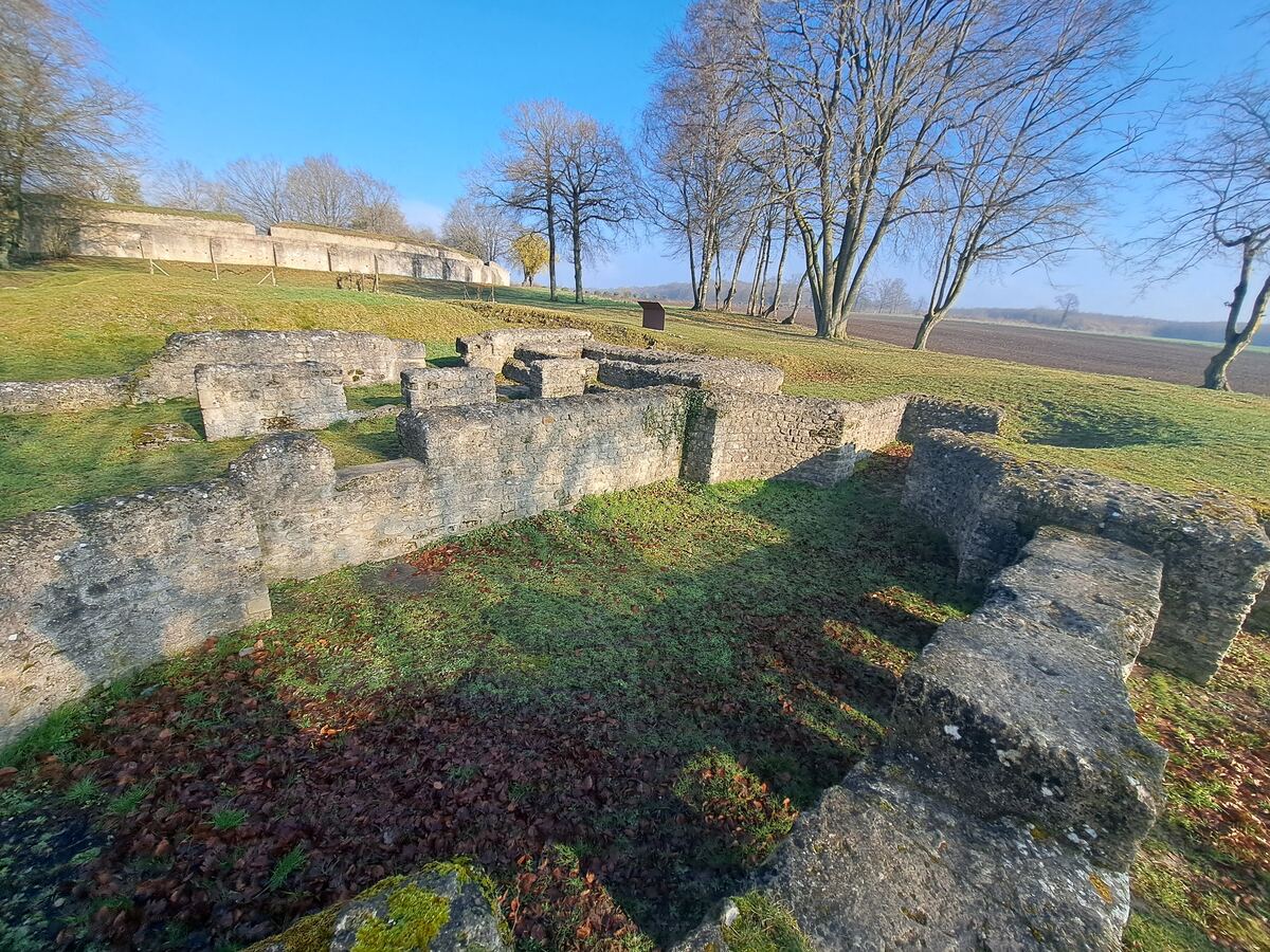 Een weids uitzicht op de overblijfselen van Romeinse fundamenten, omgeven door groen gras en kale bomen onder een helderblauwe lucht. De stenen muren van de ruïnes liggen verspreid over een glooiende heuvel, met op de achtergrond een akkerland en een rij bomen.