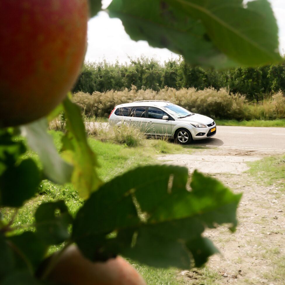 Een zilverkleurige Ford Focus stationwagen staat geparkeerd langs een landweg, omringd door groen. Op de voorgrond zijn onscherpe bladeren en een rode appel zichtbaar, die een doorkijkje vormen naar de auto en de omgeving.
