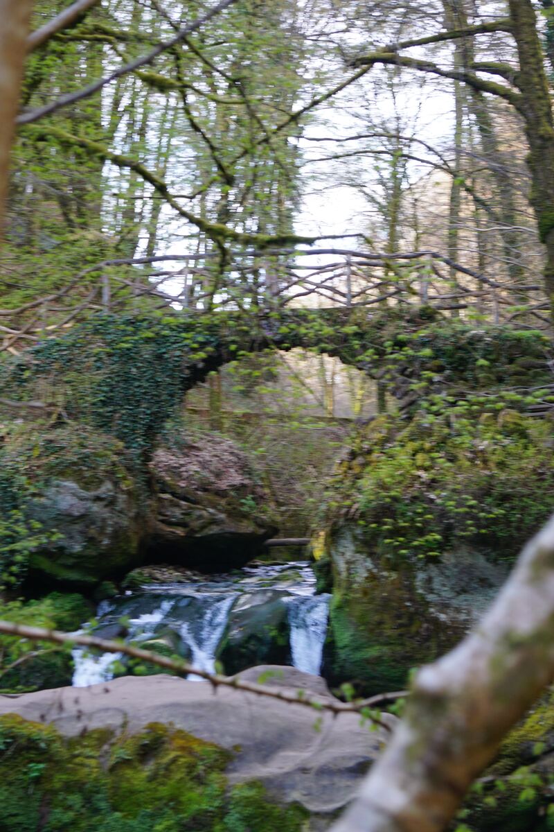 Een foto van een beek met kleine watervallen die onder een stenen brug door stroomt. De brug is begroeid met klimop en heeft een houten leuning. De omgeving is bosrijk met veel groen en mos op de rotsen en bomen.