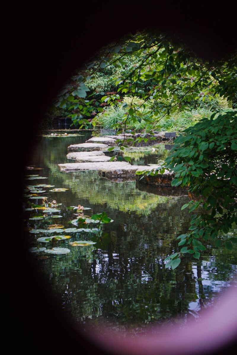 Roadtripfoto van Focus Adventures