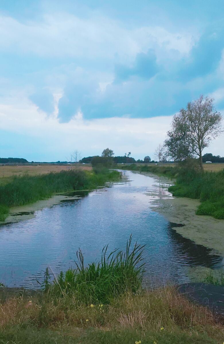 Een smalle waterweg stroomt door een groen landschap onder een bewolkte hemel. Aan weerszijden van het water groeien riet en gras. Op de achtergrond zijn bomen en velden te zien.