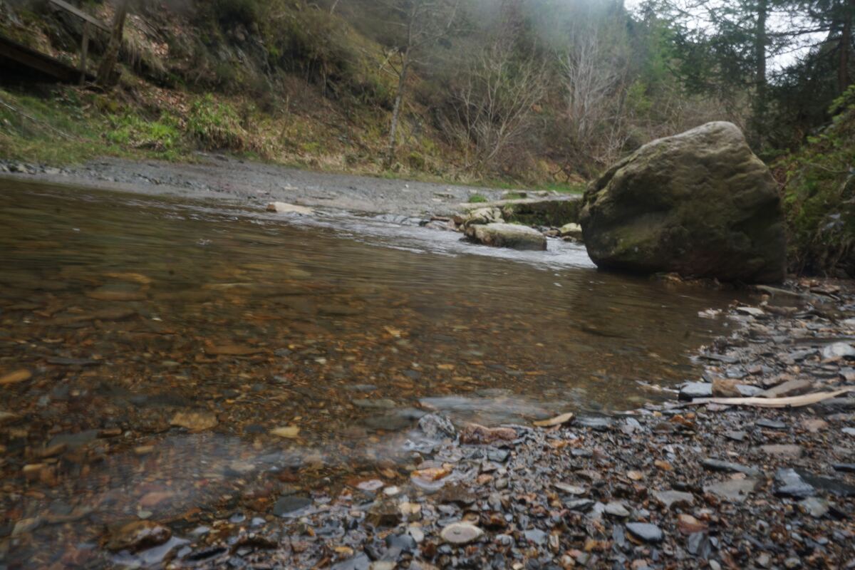 Een laag standpunt toont een ondiepe beek met helder, kabbelend water dat over een kiezelbodem stroomt. Aan de rechterkant ligt een grote, met mos begroeide rots in het water. De oevers zijn begroeid met kale bomen en struiken, en op de achtergrond is een heuvel met wat groen te zien. Een houten constructie is zichtbaar aan de linkerbovenkant.