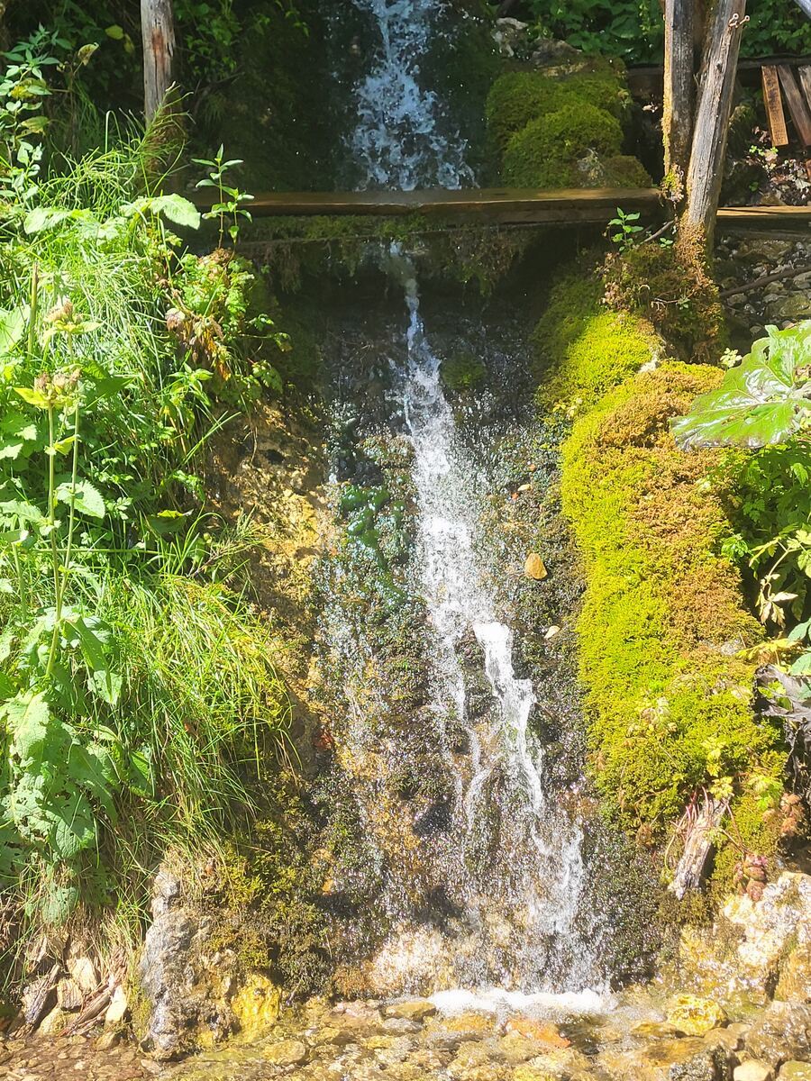 Een verticale foto toont een kleine waterval die over een rotswand met mos en planten naar beneden stroomt. Het water valt in verschillende stappen over houten constructies en natuurlijke begroeiing. De omgeving is weelderig groen met diverse planten en mossen die de rotsen bedekken. Het zonlicht valt op het water en de begroeiing.