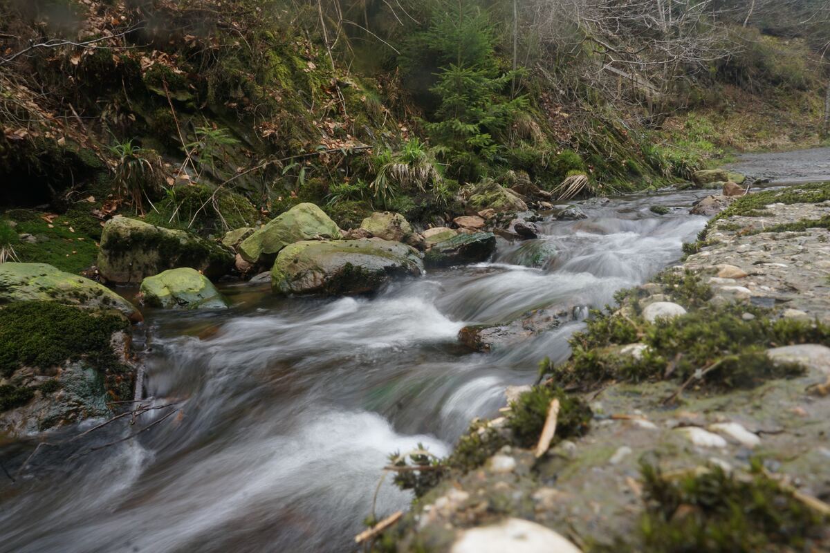 Een beekje stroomt snel over rotsen en stenen, omringd door mos en bomen. Het water is door een lange sluitertijd wazig weergegeven, wat een zijdeachtig effect creëert. De oever rechts is bedekt met kleine steentjes en mos, terwijl de linkeroever een steile, beboste helling is met veel groen en wat dorre bladeren.