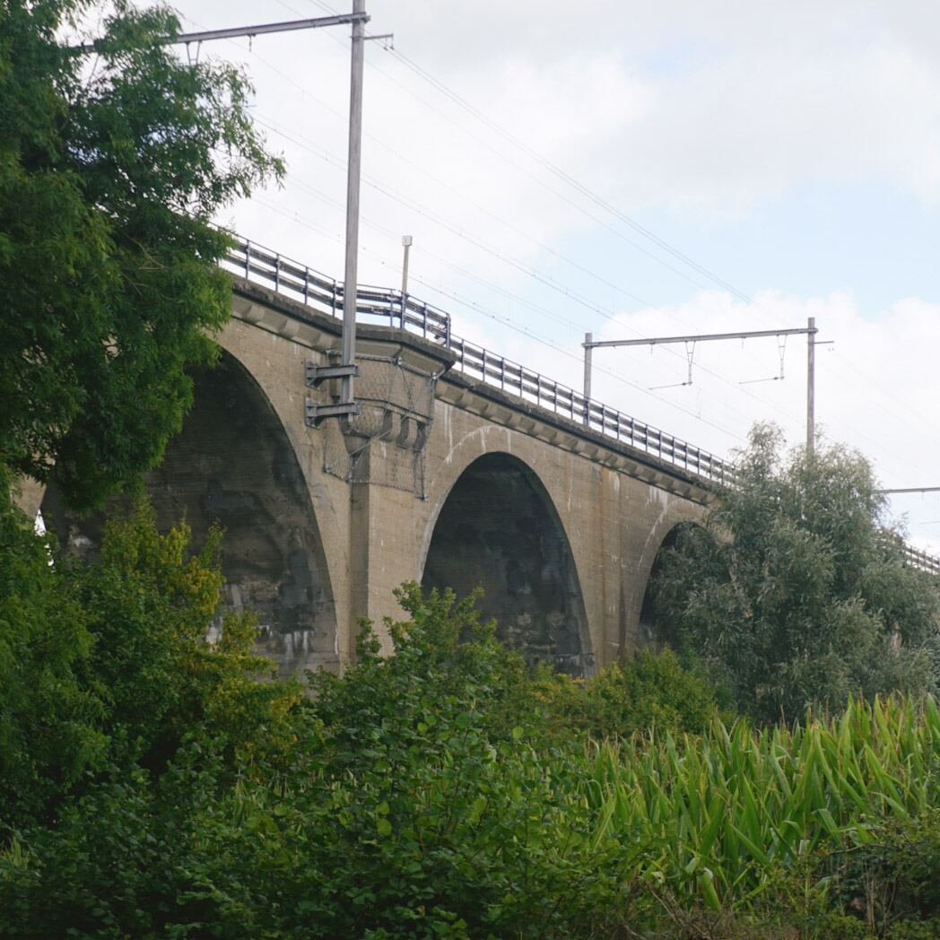 Een betonnen spoorwegviaduct met meerdere bogen, omringd door weelderig groen, waaronder bomen en een veld met maïs. Bovenop het viaduct zijn spoorrails en bovenleidingen zichtbaar onder een bewolkte lucht.