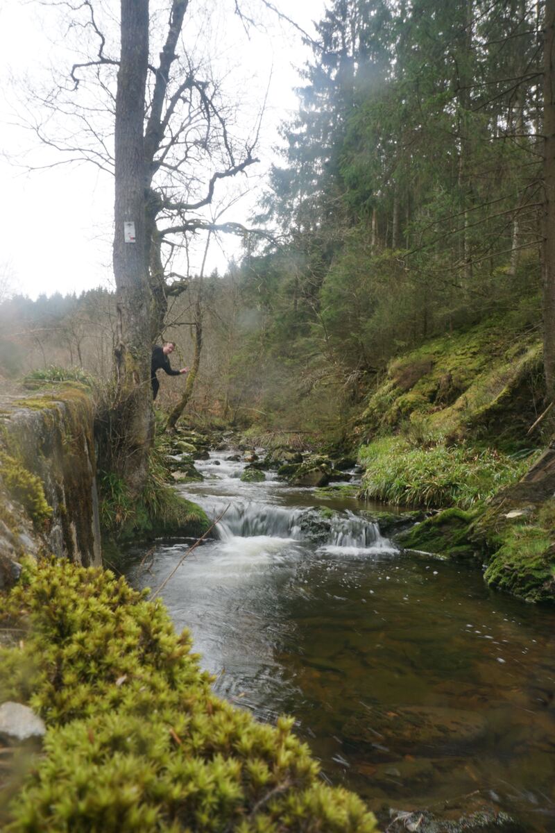 Een persoon staat bij een boom langs een snelstromende rivier in een bosrijke omgeving. De rivier stroomt over rotsen en er is veel groen mos en begroeiing zichtbaar. De lucht is licht bewolkt.