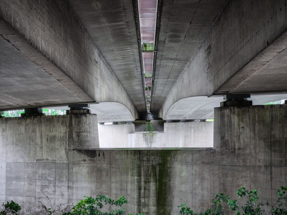 Een foto genomen van onder een grote betonnen brug, met de constructie en pilaren duidelijk zichtbaar. Er is wat groen te zien aan de onderkant van de pilaren en op de voorgrond.