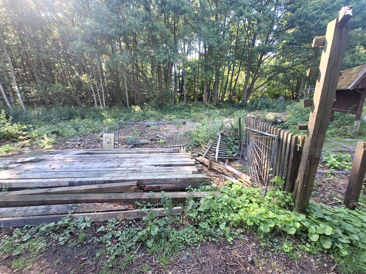 Een zonnige foto van een bosrand met op de voorgrond een stapel houten palen, een oud hek en een houten paal met een onduidelijk opschrift. De grond is bedekt met bladeren, takjes en groene planten. Op de achtergrond is een dichtbegroeid bos te zien met veel bomen en struiken.