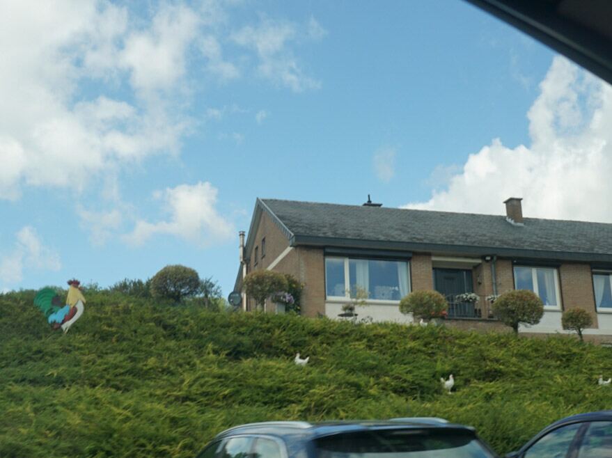 Een foto genomen vanuit een auto, met op de voorgrond de bovenkant van een donkerblauwe auto. Daarachter is een groene, heuvelachtige tuin te zien met een groot, kleurrijk beeld van een haan. Verderop in de tuin lopen enkele witte kippen. Boven de tuin staat een bakstenen huis met een donker dak en ramen met rolluiken. De lucht is blauw met verspreide witte wolken.
