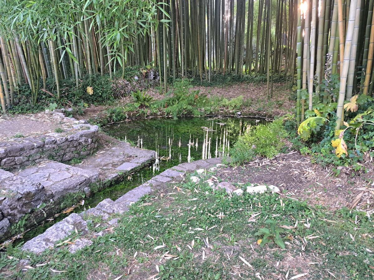 Een kleine, groen getinte waterpartij of vijver is zichtbaar in het midden van de foto, omringd door weelderige vegetatie. Aan de linkerzijde leidt een reeks oude, met mos begroeide stenen treden of lage muren naar het water. Op de achtergrond vormt een dichte bos van hoge, slanke bamboestokken een natuurlijke groene wand. Zonlicht filtert door de bamboe aan de rechterkant, wat heldere reflecties op het wateroppervlak creëert. De grond rond het water is bedekt met een mix van gras, gevallen blad
