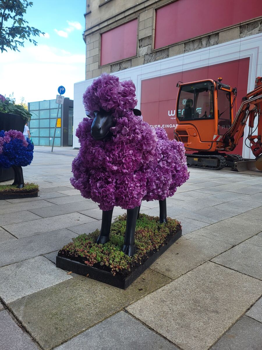 Een paars schaap, gemaakt van bloemen, staat op een stenen trottoir. Op de achtergrond is een oranje graafmachine te zien en een gebouw met rode ramen en een rood-witte reclamebanner. Er staat ook een blauw schaap deels zichtbaar aan de linkerkant.