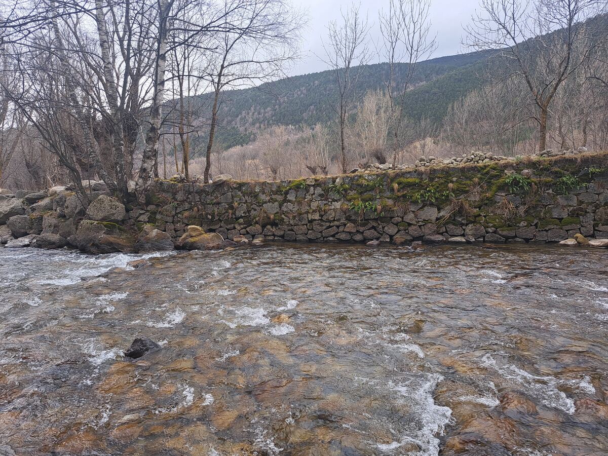 Een rivier met stromend, helder water en zichtbare stenen op de bodem. Aan de oever staat een stenen muur begroeid met mos en enkele varens. Daarachter staan kale bomen, waaronder berken, en in de verte is een berghelling met bos te zien onder een bewolkte lucht.