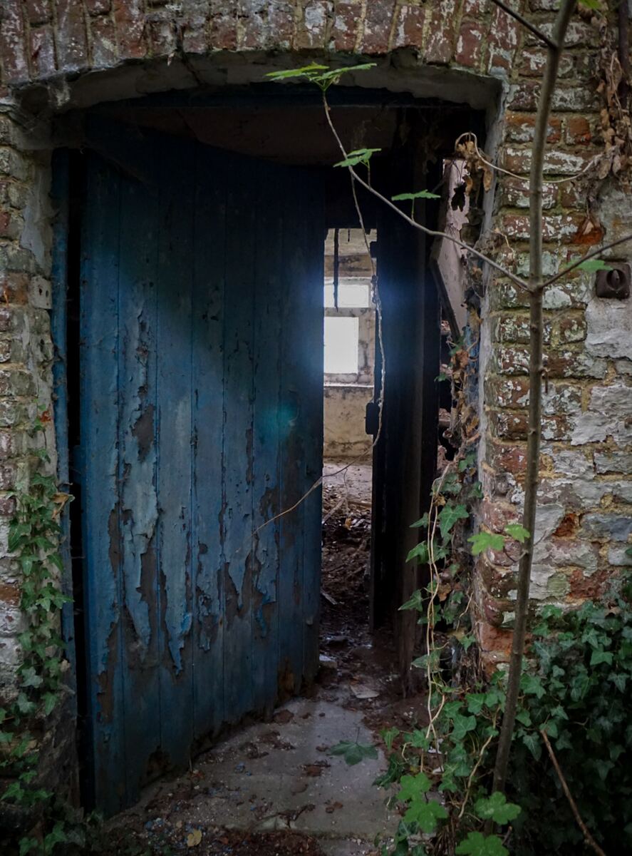 Een doorkijkje door een halfopen, vervallen blauwe deur in een oud bakstenen gebouw. De verf bladdert af van de deur en de muren zijn begroeid met klimop. In de verte is een raam zichtbaar.