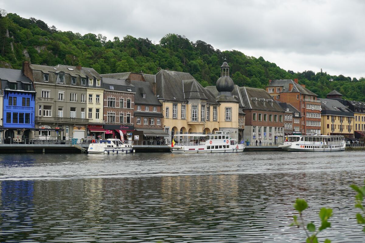 Een panoramafoto van de Maas in Dinant, België, met aan de oever een rij historische gebouwen en meerdere boten. De gebouwen hebben verschillende architectuurstijlen en kleuren, waaronder een opvallend blauw gebouw en een geel gebouw met een koepel. Op de achtergrond is een groene, beboste heuvel te zien onder een bewolkte lucht. Het water van de Maas reflecteert de gebouwen en de lucht.