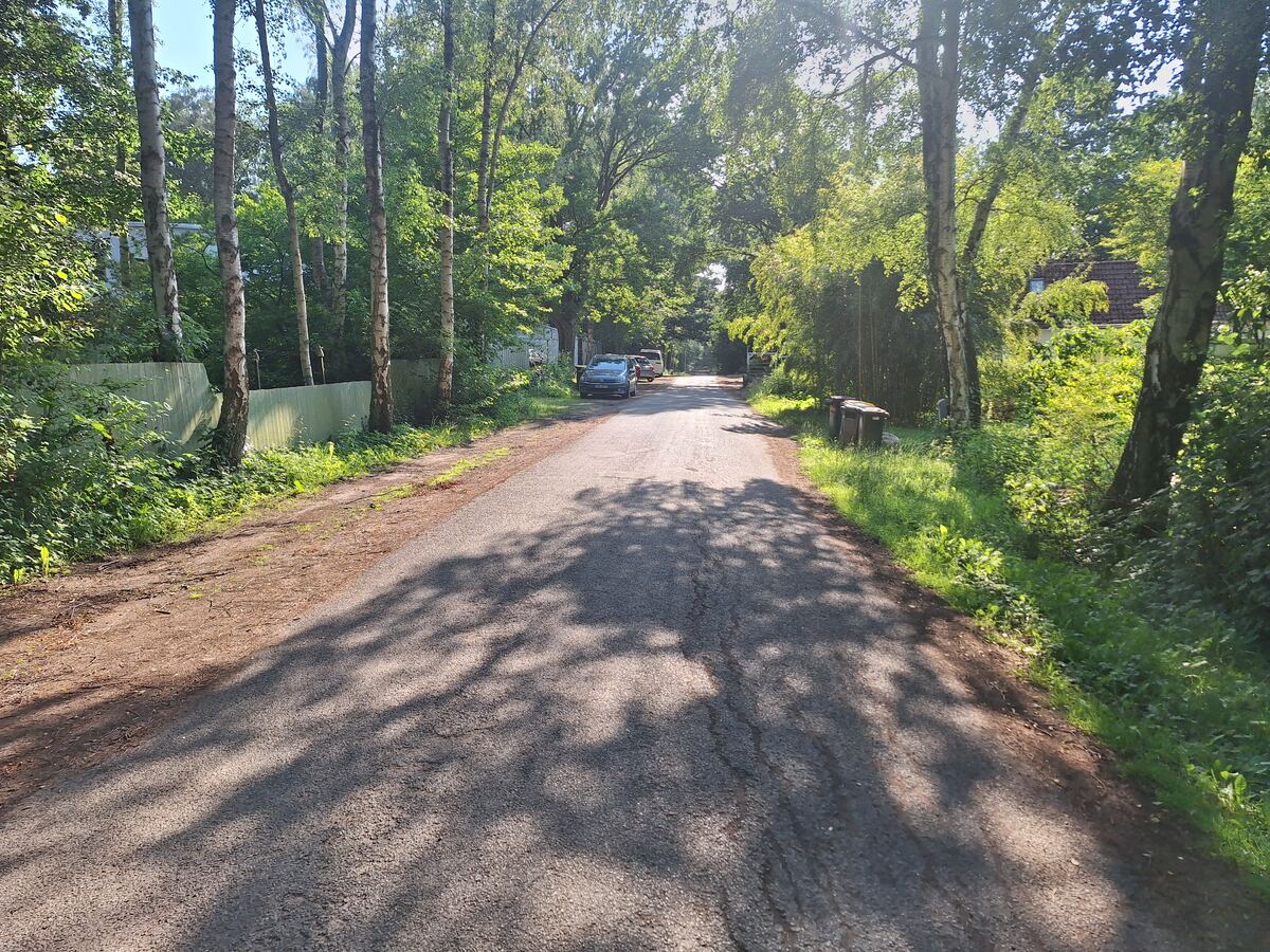 Een geasfalteerde weg strekt zich uit door een groene omgeving, omzoomd door bomen en struiken. De zon schijnt door de bladeren en werpt lange schaduwen op het wegdek. Aan de linkerzijde is een lichte schutting zichtbaar en aan de rechterzijde staan twee afvalcontainers. In de verte zijn enkele geparkeerde auto's en delen van huizen te zien.