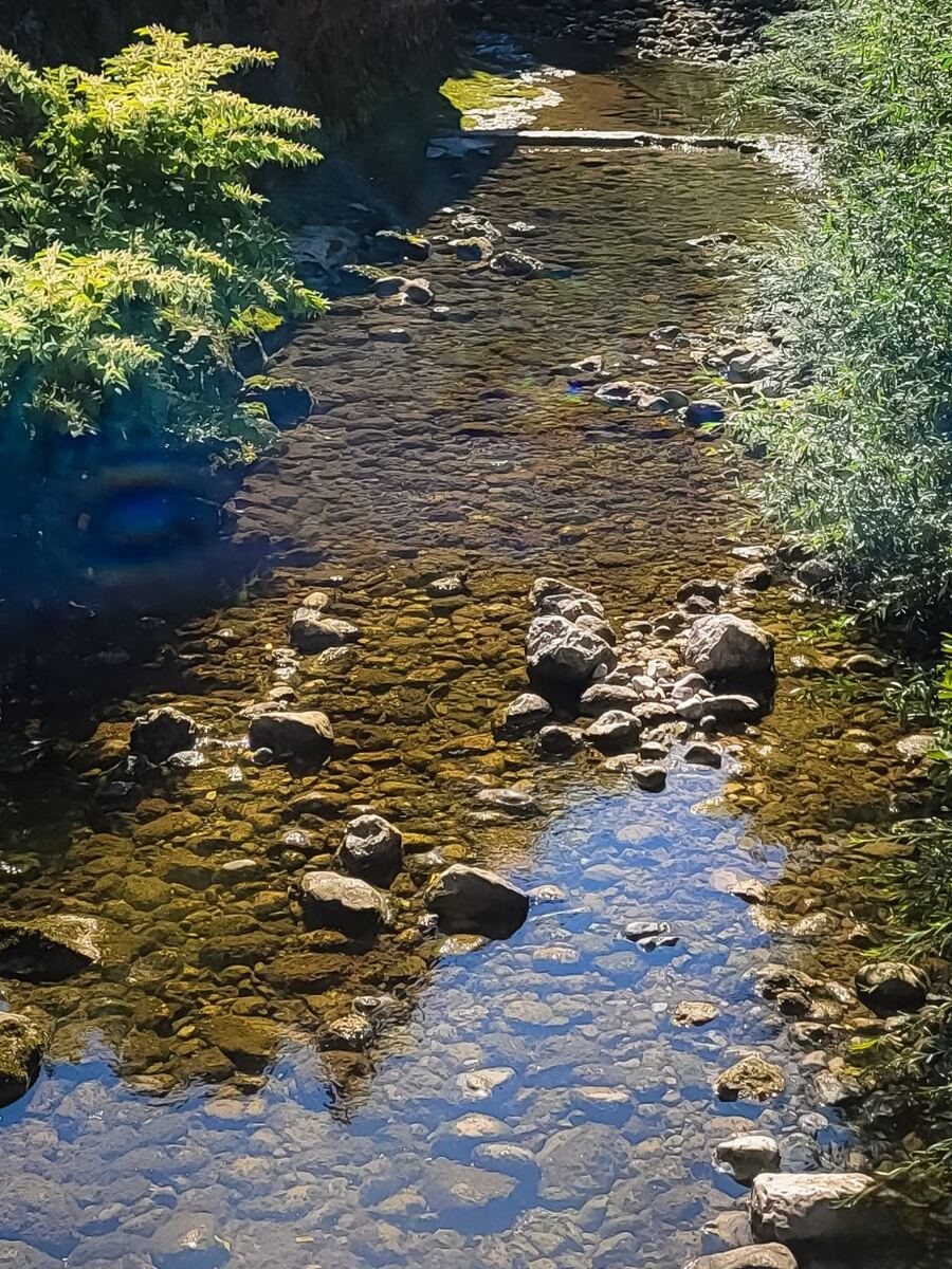Een heldere, ondiepe beek met veel stenen op de bodem, omringd door groen gebladerte aan beide zijden. Zonlicht valt op het water en de stenen, wat zorgt voor reflecties en schaduwen.