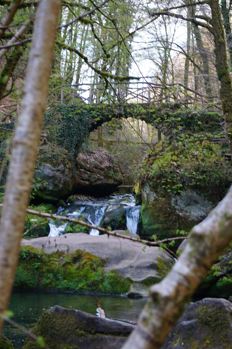 Een foto genomen door takken heen van een kleine waterval in een bosrijke omgeving. Op de achtergrond is een stenen brug te zien die begroeid is met klimop en mos. Het water stroomt over rotsen en vormt kleine stroomversnellingen. De omgeving is groen met bomen en struiken.
