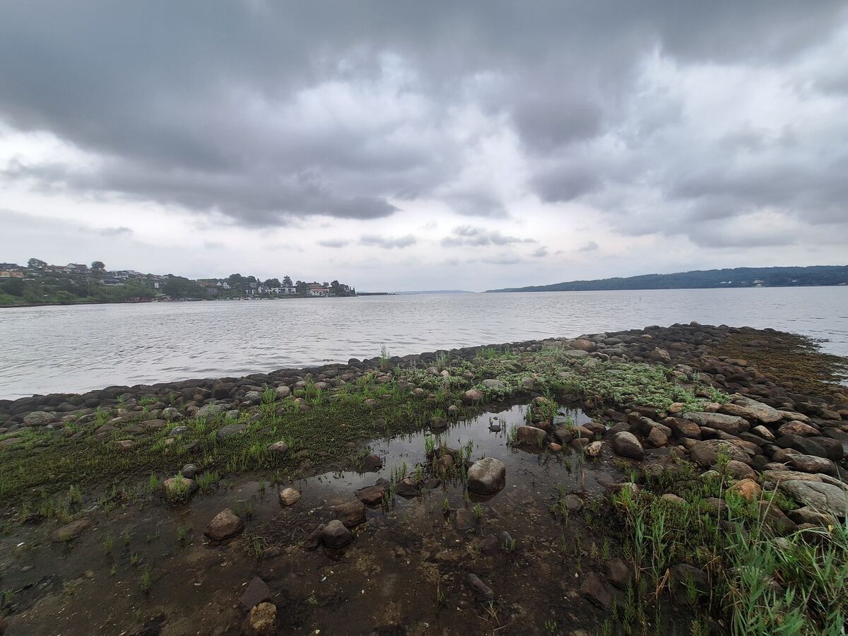 Een brede blik op een rotsachtige kustlijn met ondiep water en begroeiing op de voorgrond, met een uitgestrekte watermassa en een beboste oever met huizen aan de overkant onder een bewolkte hemel.