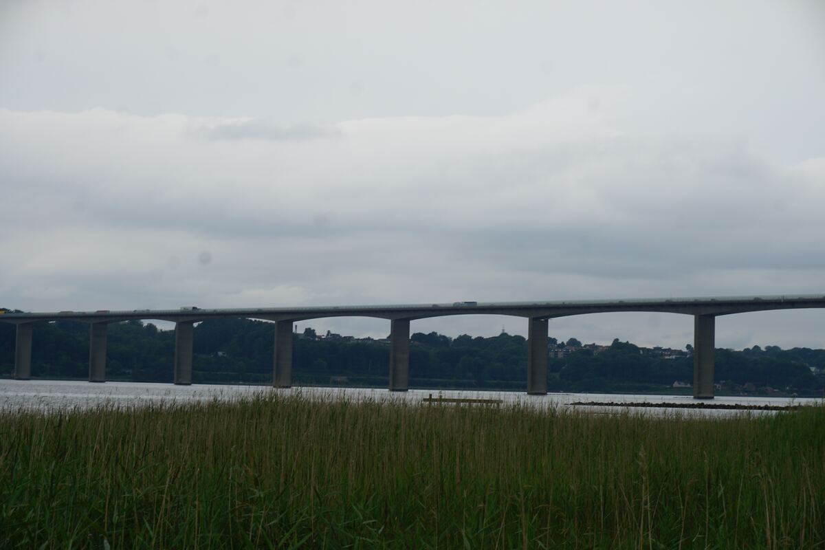 Een lange, betonnen brug met meerdere bogen en pilaren strekt zich uit over een waterlichaam onder een bewolkte hemel. Op de brug rijden voertuigen. Op de voorgrond staan hoge groene rietstengels. Aan de overkant van het water is een beboste oever met enkele huizen zichtbaar.
