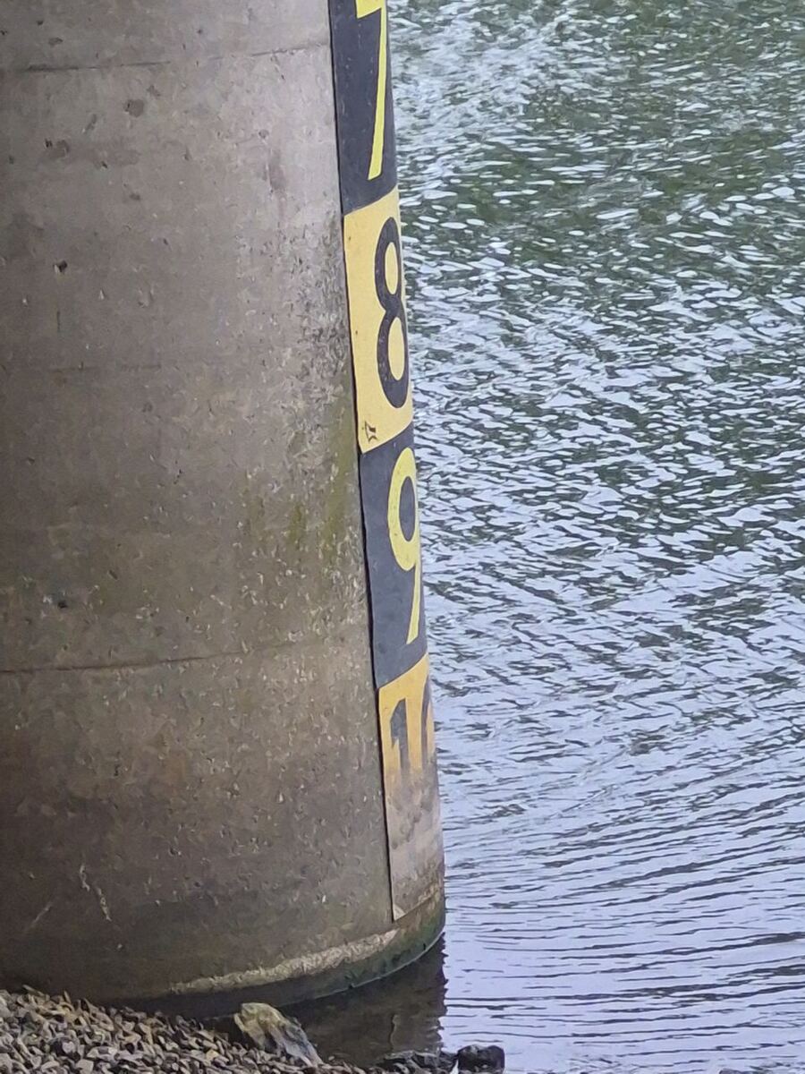 Een close-up van een betonnen brugpijler met een waterpeilschaal. De schaal is zwart met gele cijfers, waarvan '7', '8', '9' en '1' zichtbaar zijn. Rechts van de pijler is water te zien met lichte rimpelingen. Aan de onderkant van de pijler ligt een strook met kleine kiezels.
